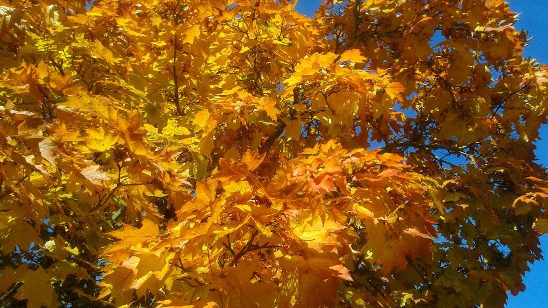 20191011_144234.jpg