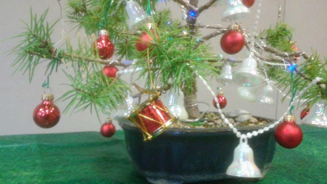 20191215_151405.jpg