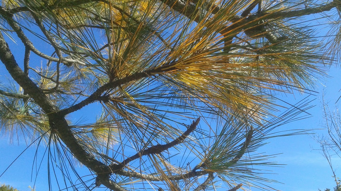 20191011_142050.jpg
