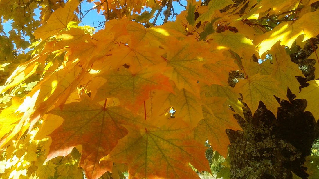 20191011_144305.jpg