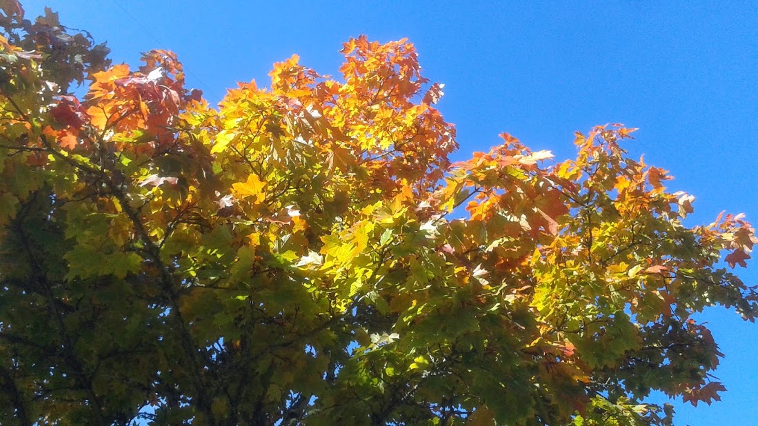 20191011_140807.jpg