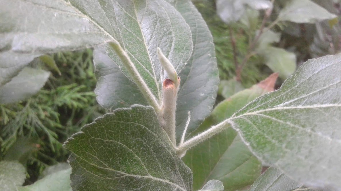 20190906_125816.jpg