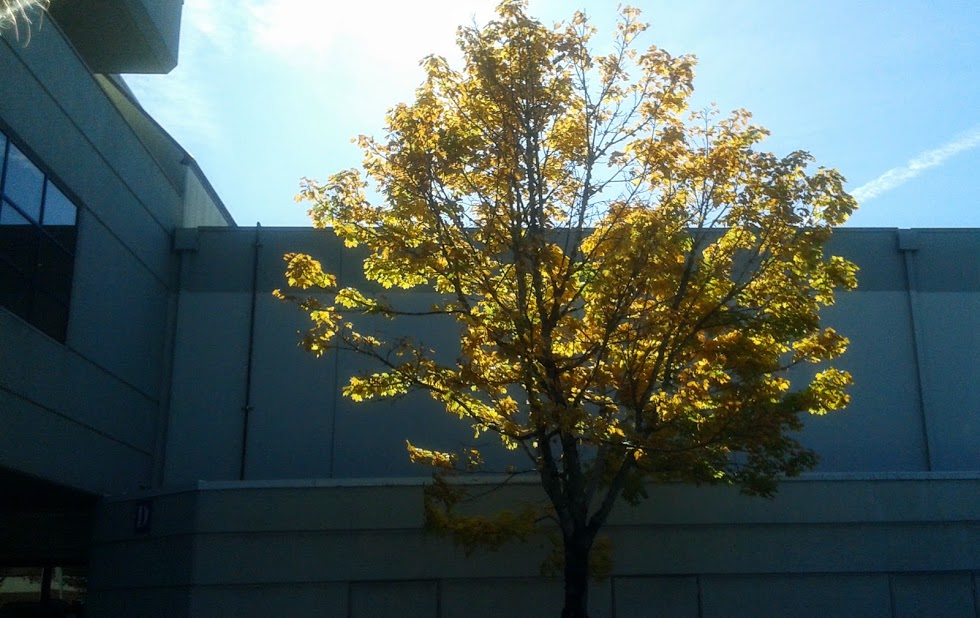 20191011_134932.jpg