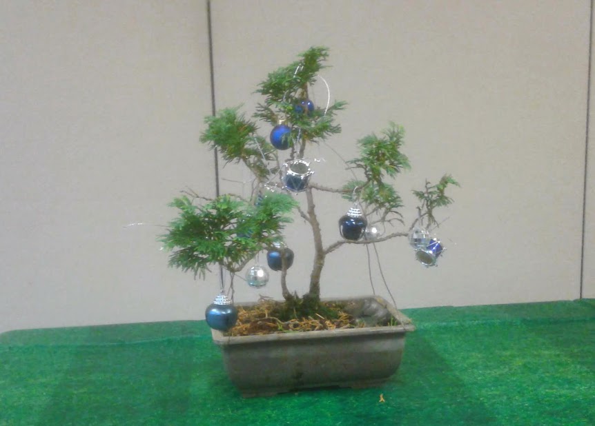 20191215_151911.jpg