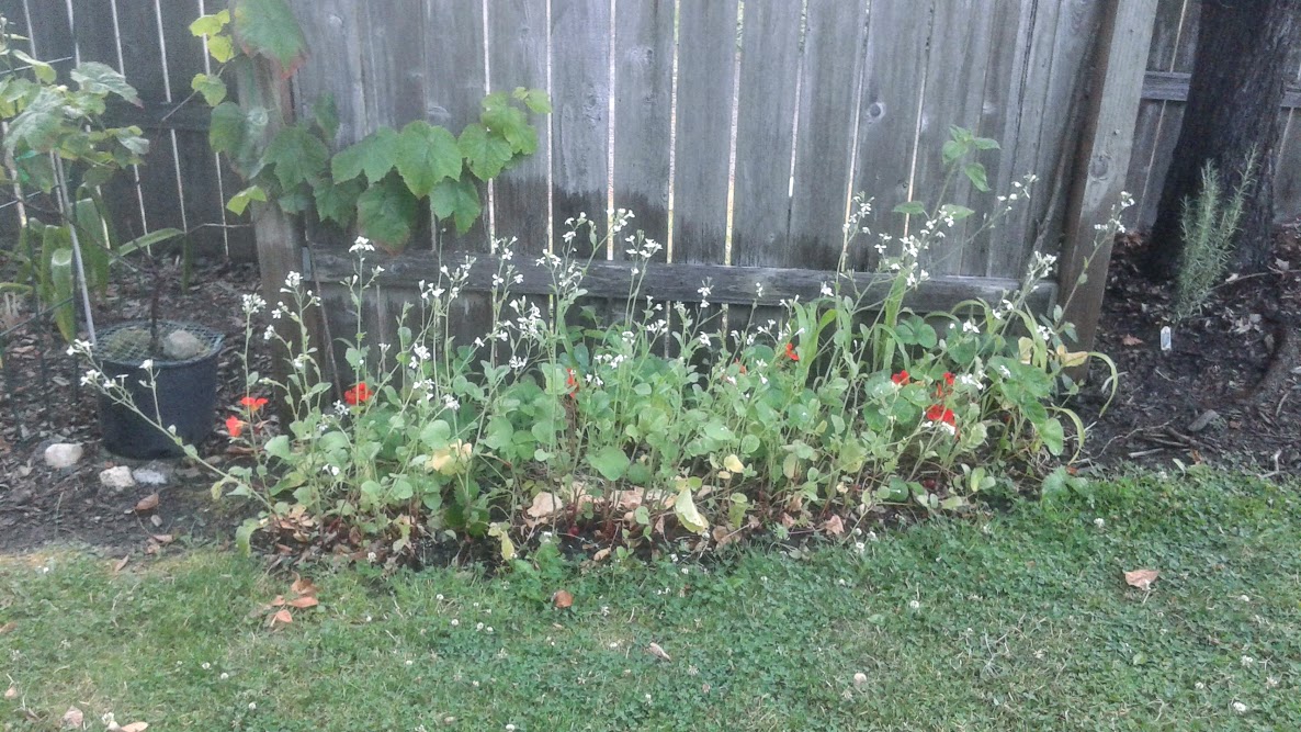 20190708_091152.jpg