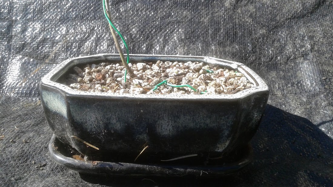20191009_131438.jpg