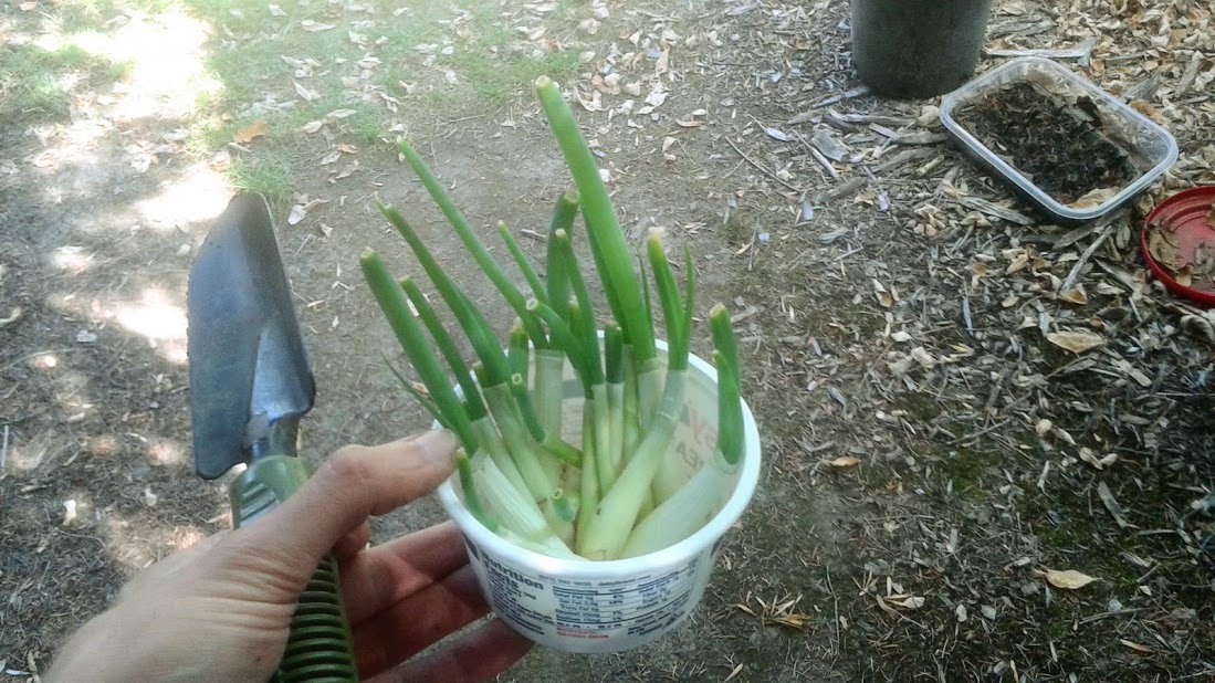 20190704_160554.jpg