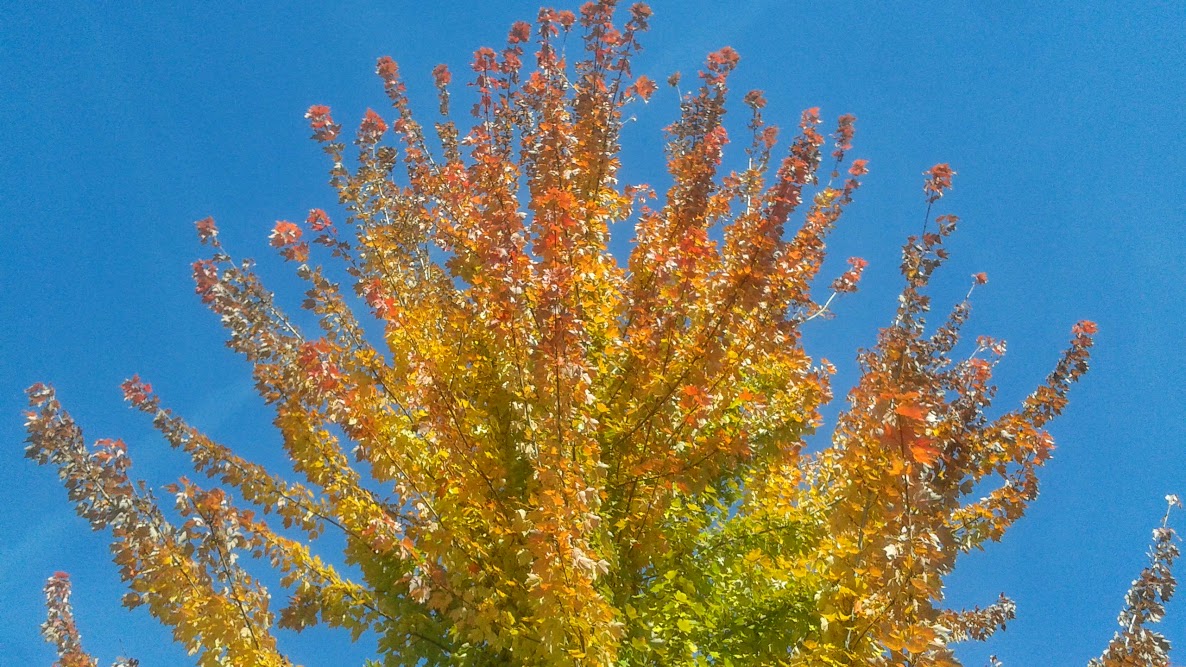 20191011_144953.jpg