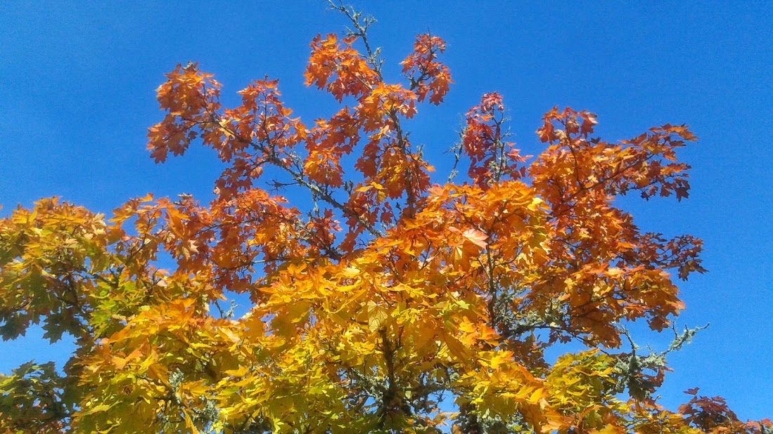 20191011_142247.jpg