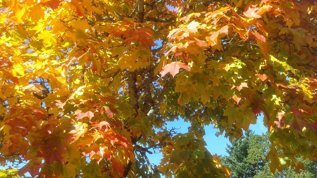 20191011_144245.jpg