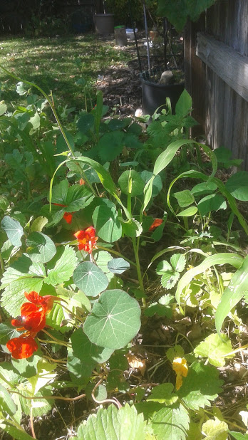 20190629_161459.jpg