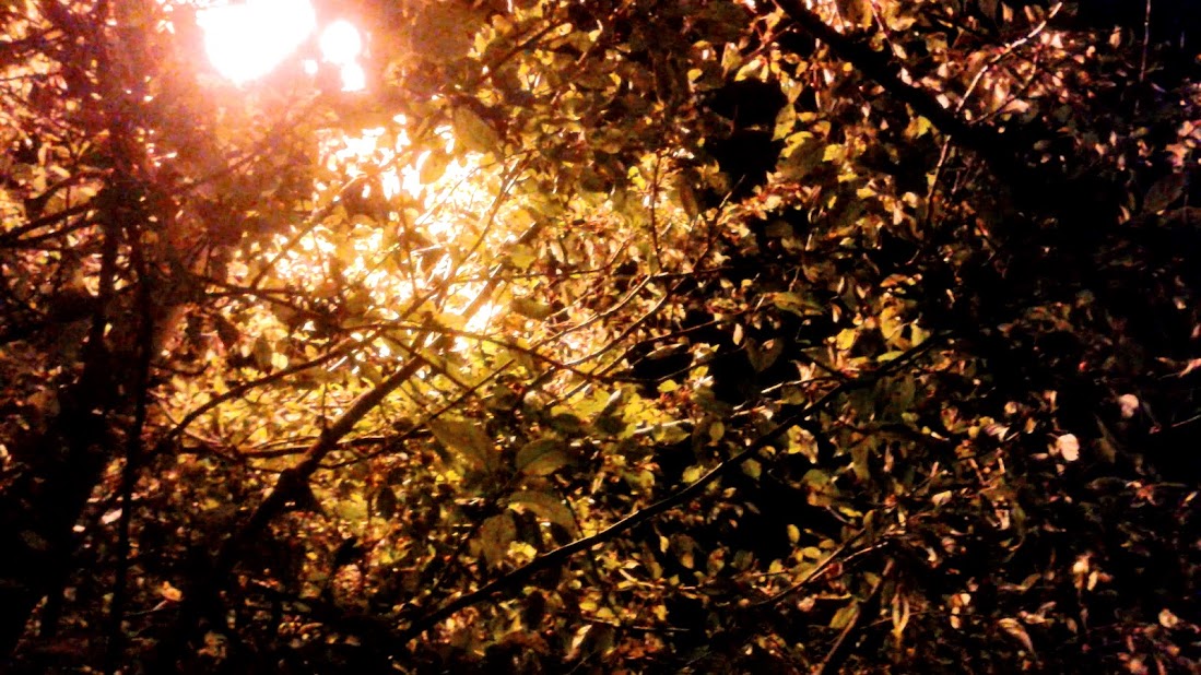 20191010_222005.jpg