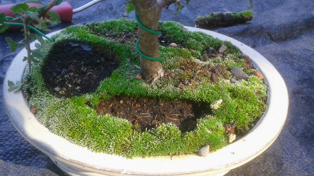 20191006_145948.jpg