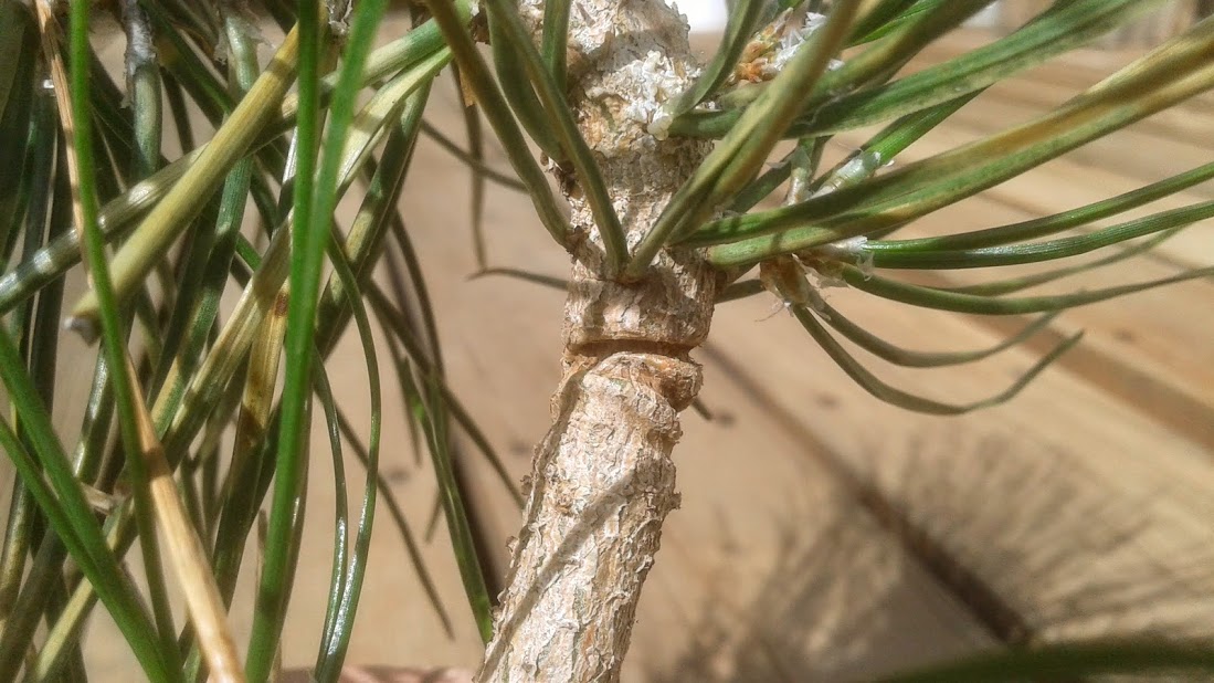 20190820_113133.jpg