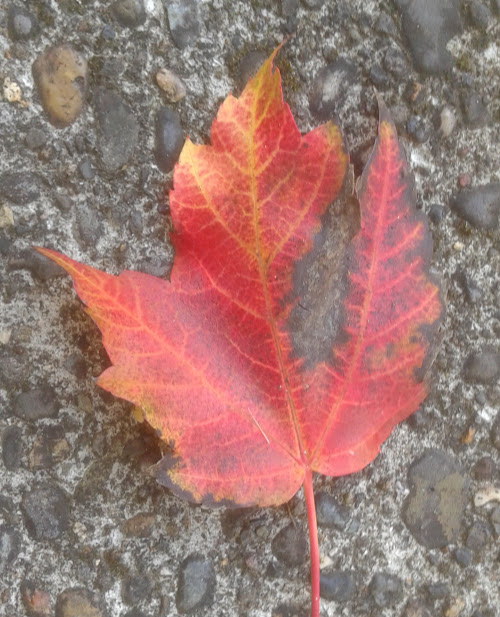 20190930_092019.jpg
