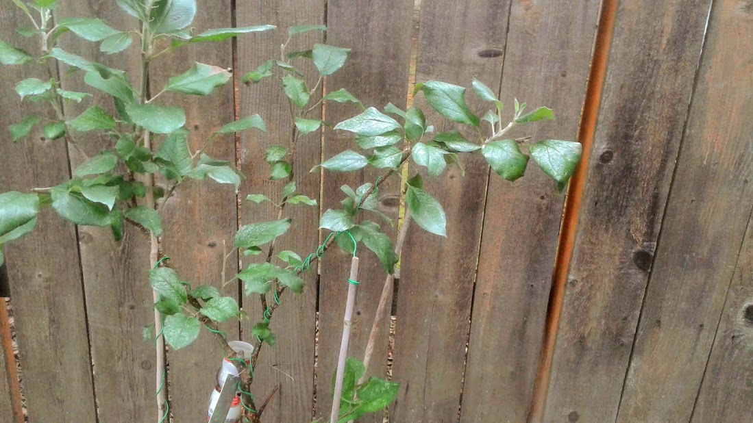 20190926_101859.jpg