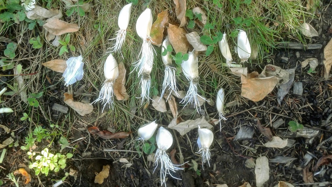 20190704_155517.jpg