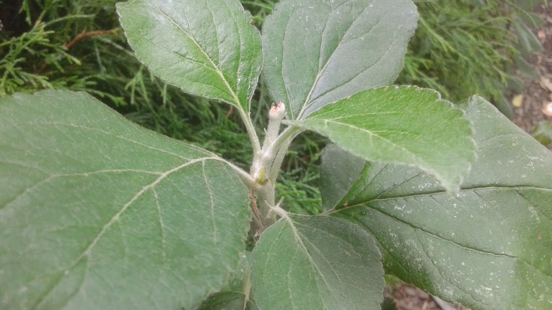 20190906_125823.jpg