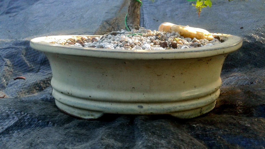 20191006_153541.jpg