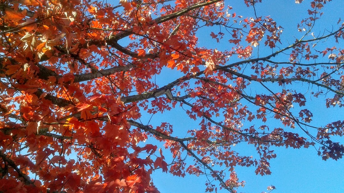 20191011_160721.jpg