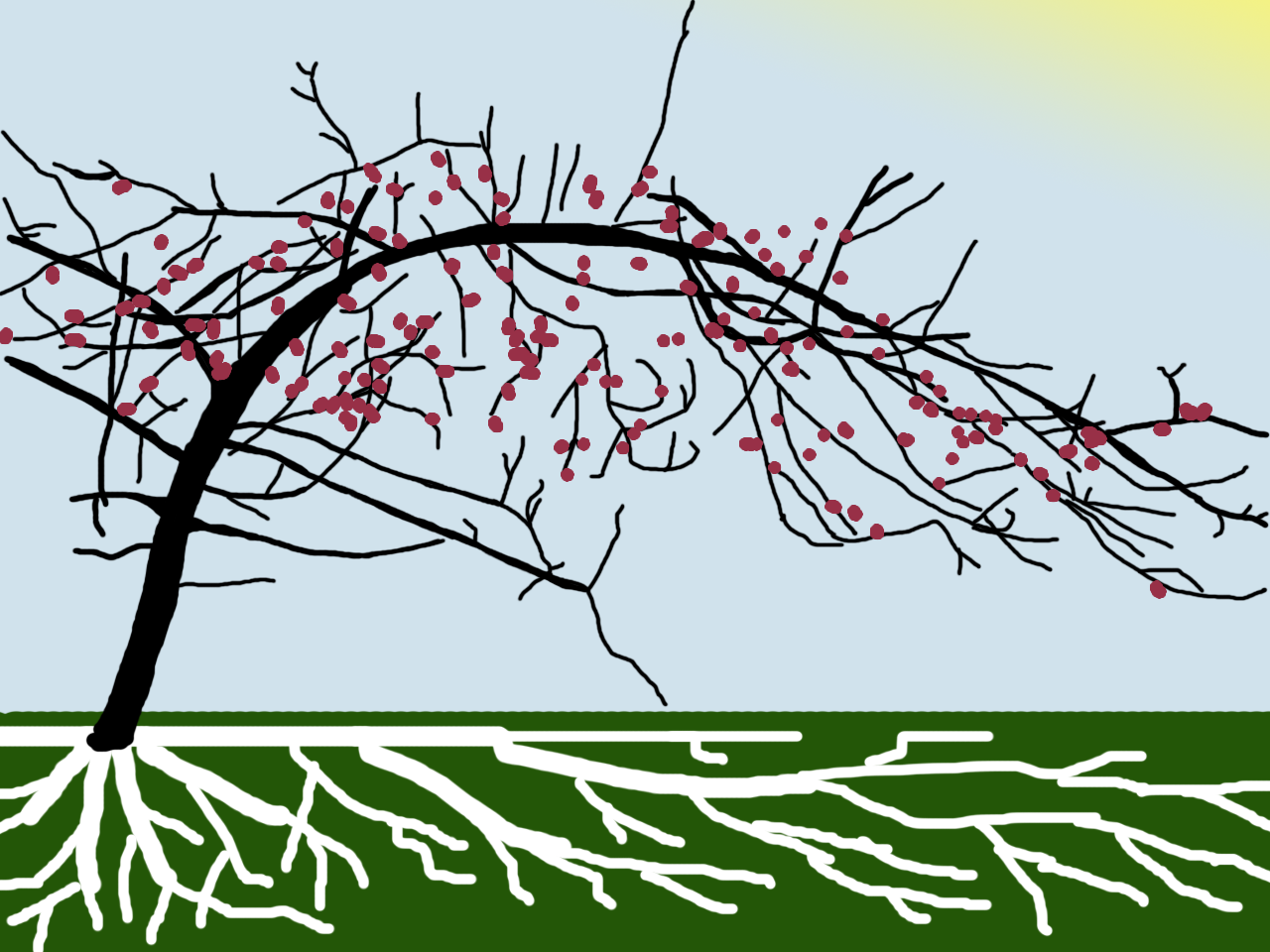 kimsappletreesketch.png