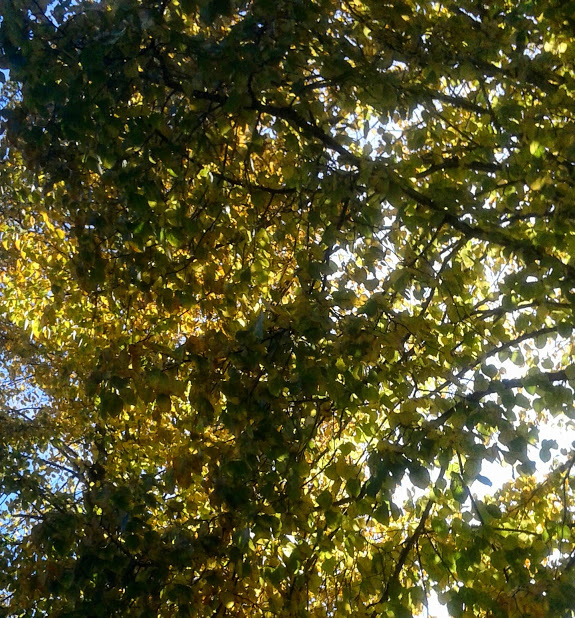 20191011_143005.jpg