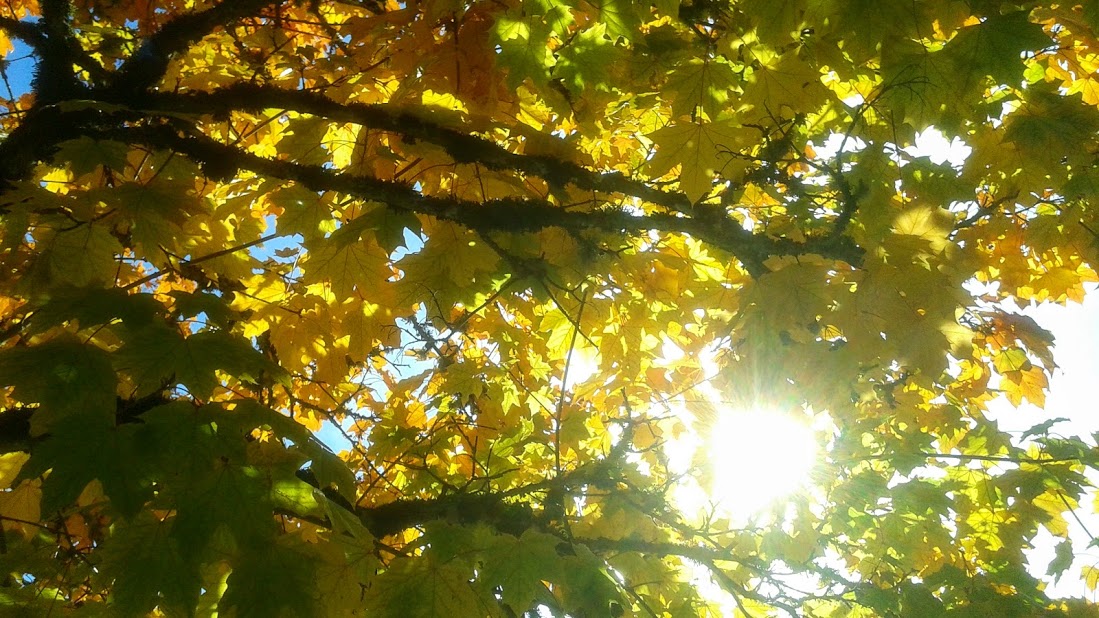 20191011_141546.jpg