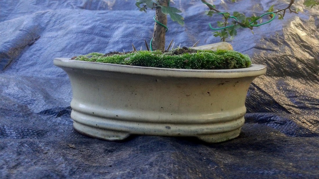 20191006_145613.jpg
