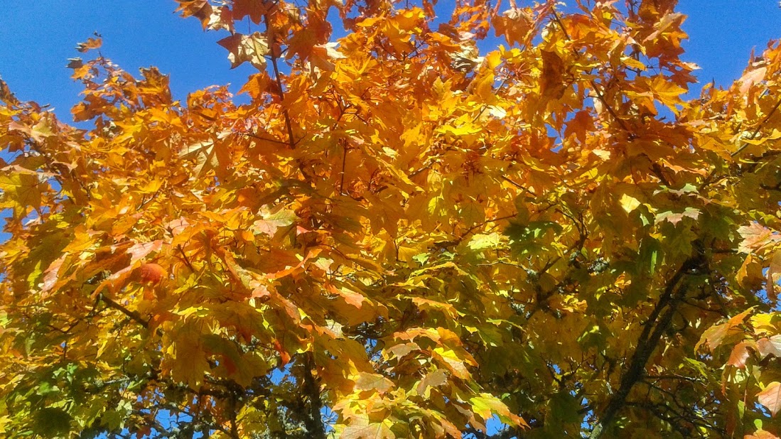 20191011_141505.jpg