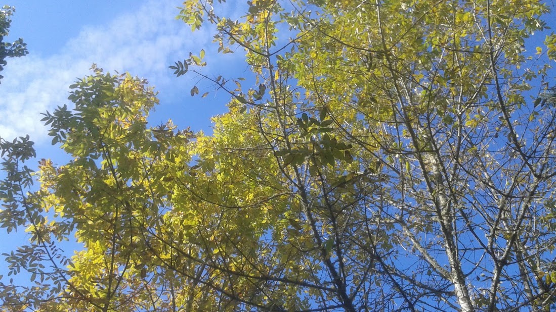 20191011_110648.jpg