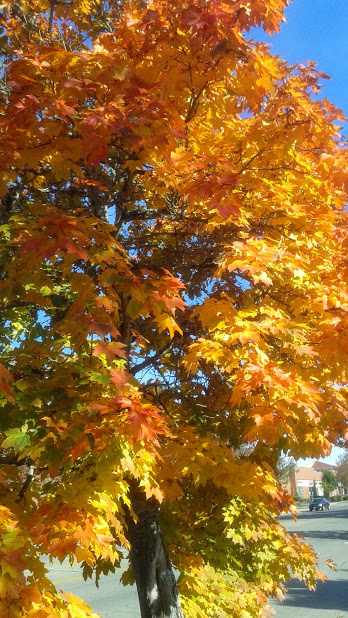 20191011_144208.jpg
