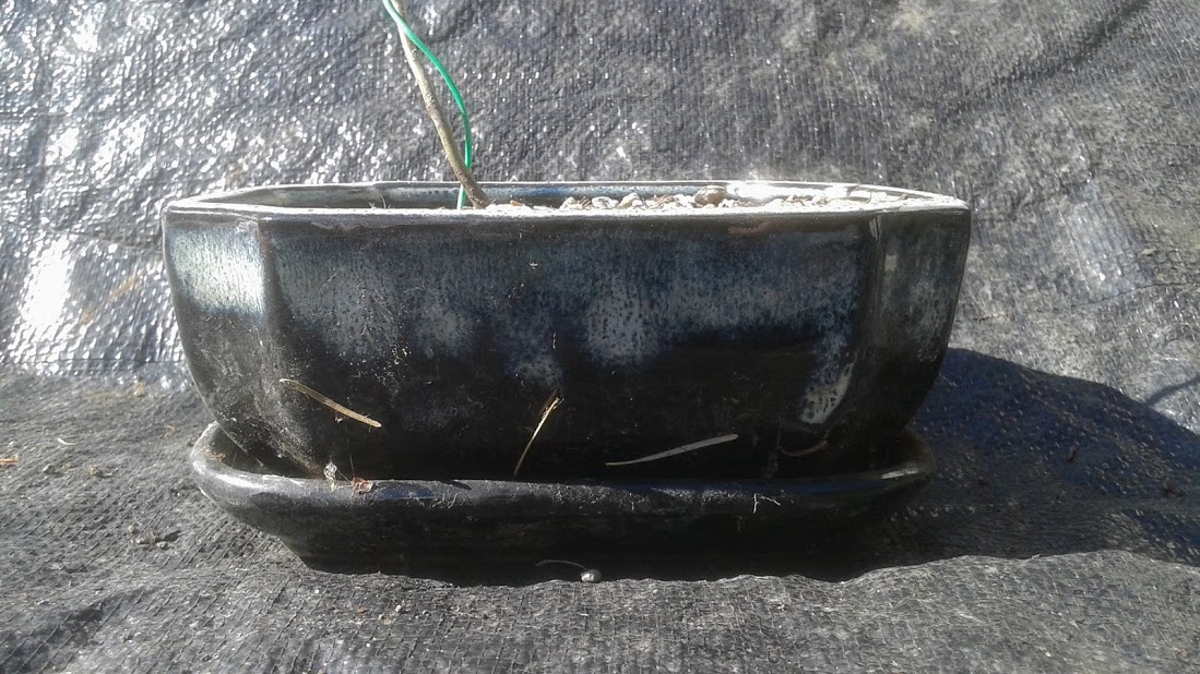 20191009_131433.jpg