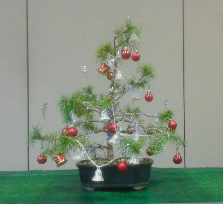 20191215_151235.jpg