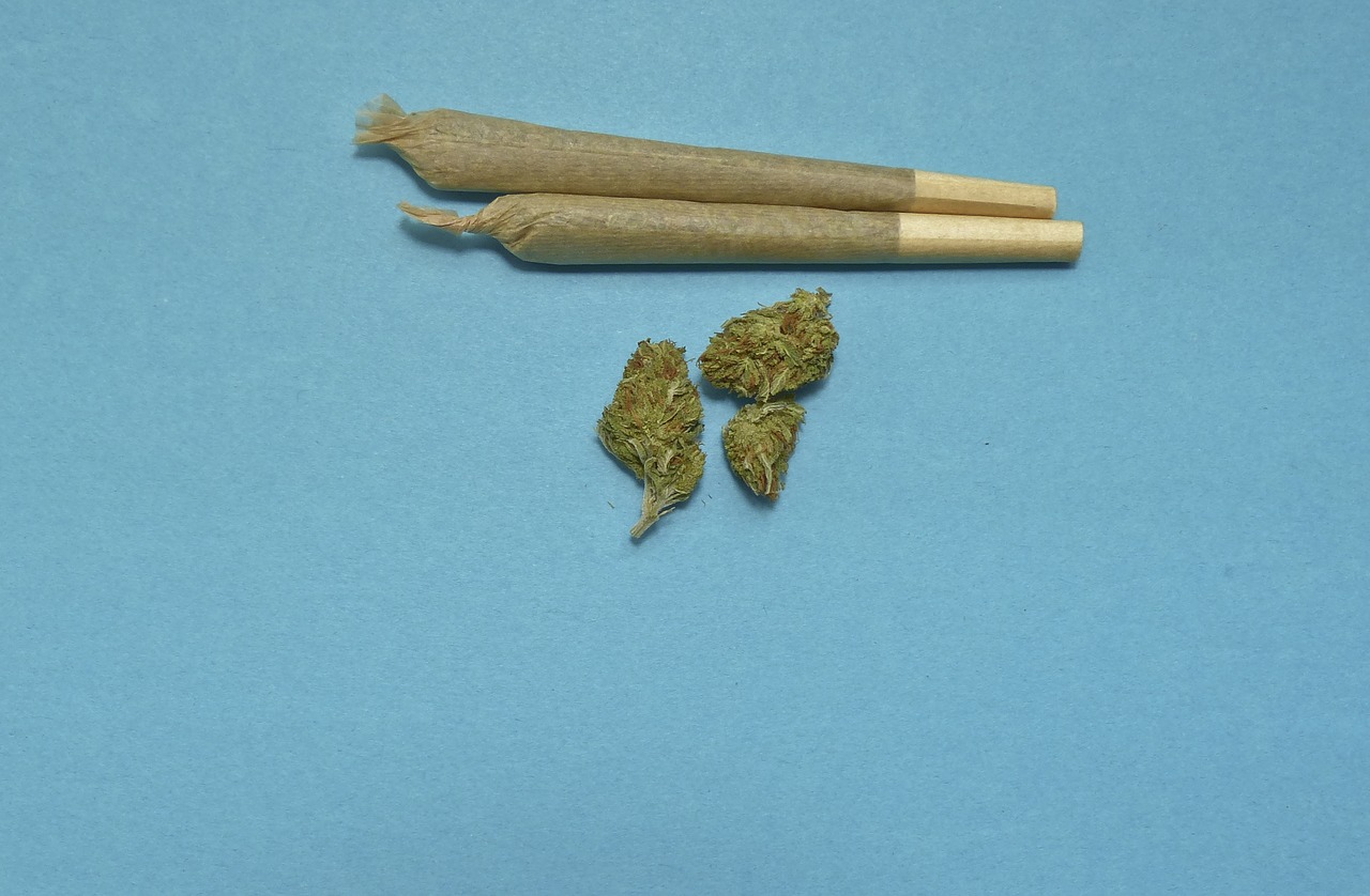 marijuana2248066_1280 1.jpg