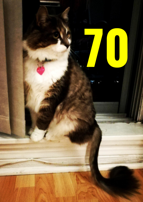 70.png
