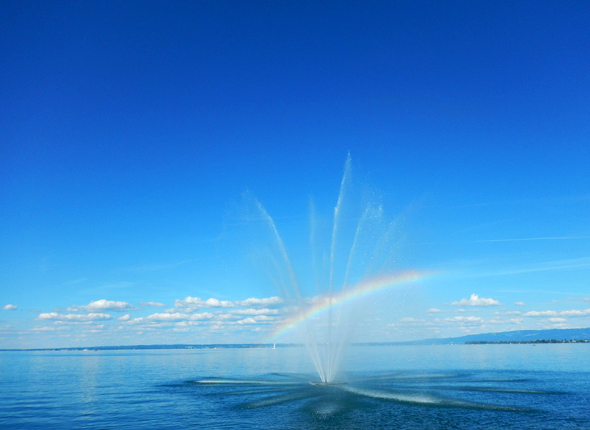 Rainbow.jpg