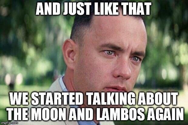 AndJustLikeThatWeStartedTalkingAboutTheMoonAndLambosAgainCryptoMemes.jpg