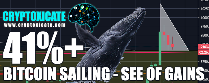 BITCOINSAILING__Cryptoxicate_com.png