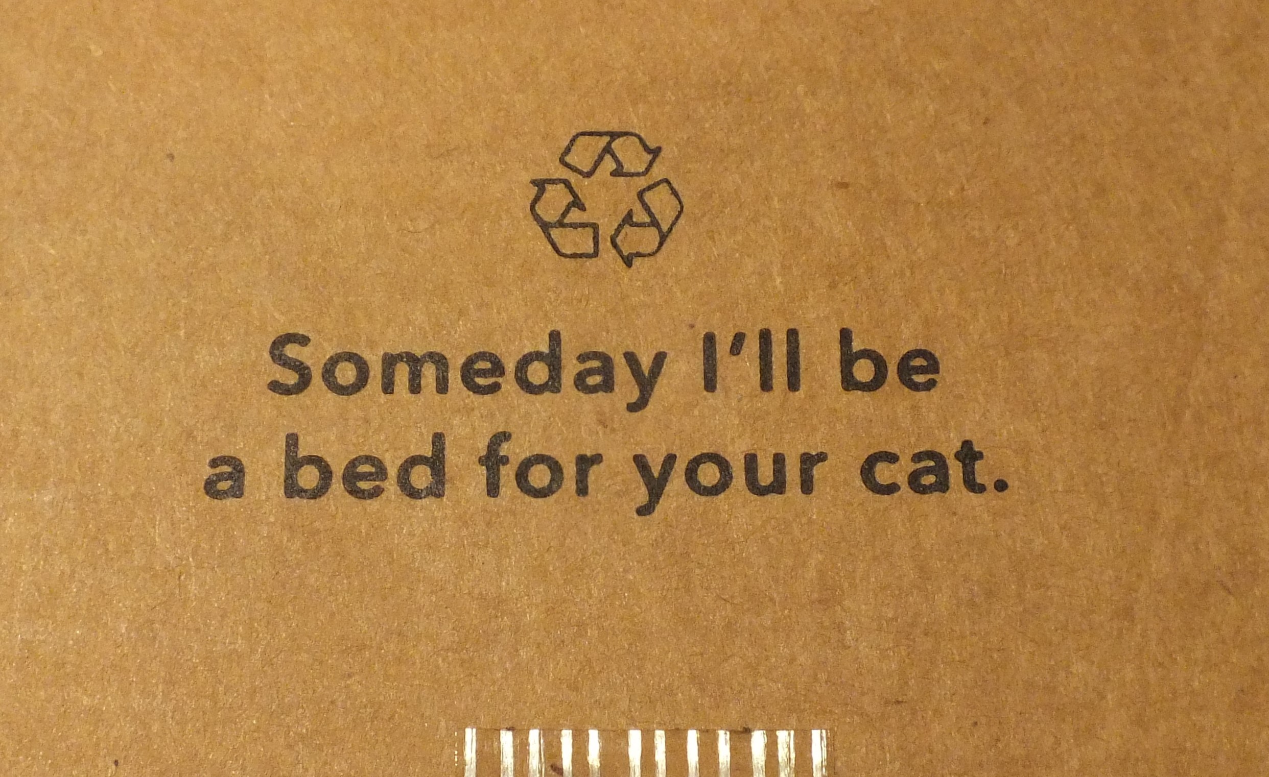 CC0168CatBed.jpg