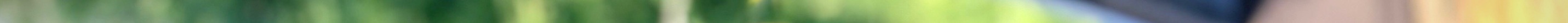 plantshatteredpost 2.jpeg
