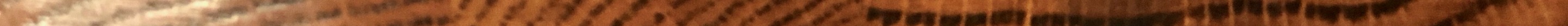 IMG_2033.jpeg