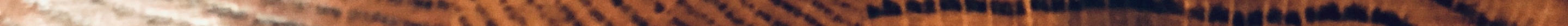 IMG_2033 4.jpeg