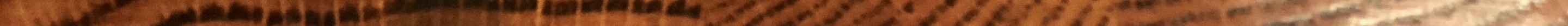 IMG_2033 2.jpeg