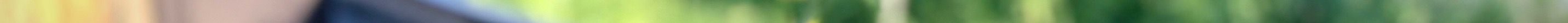 plantshatteredpost 3.jpeg