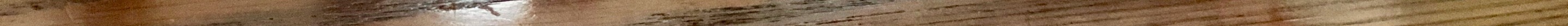 IMG_2024 2.jpeg