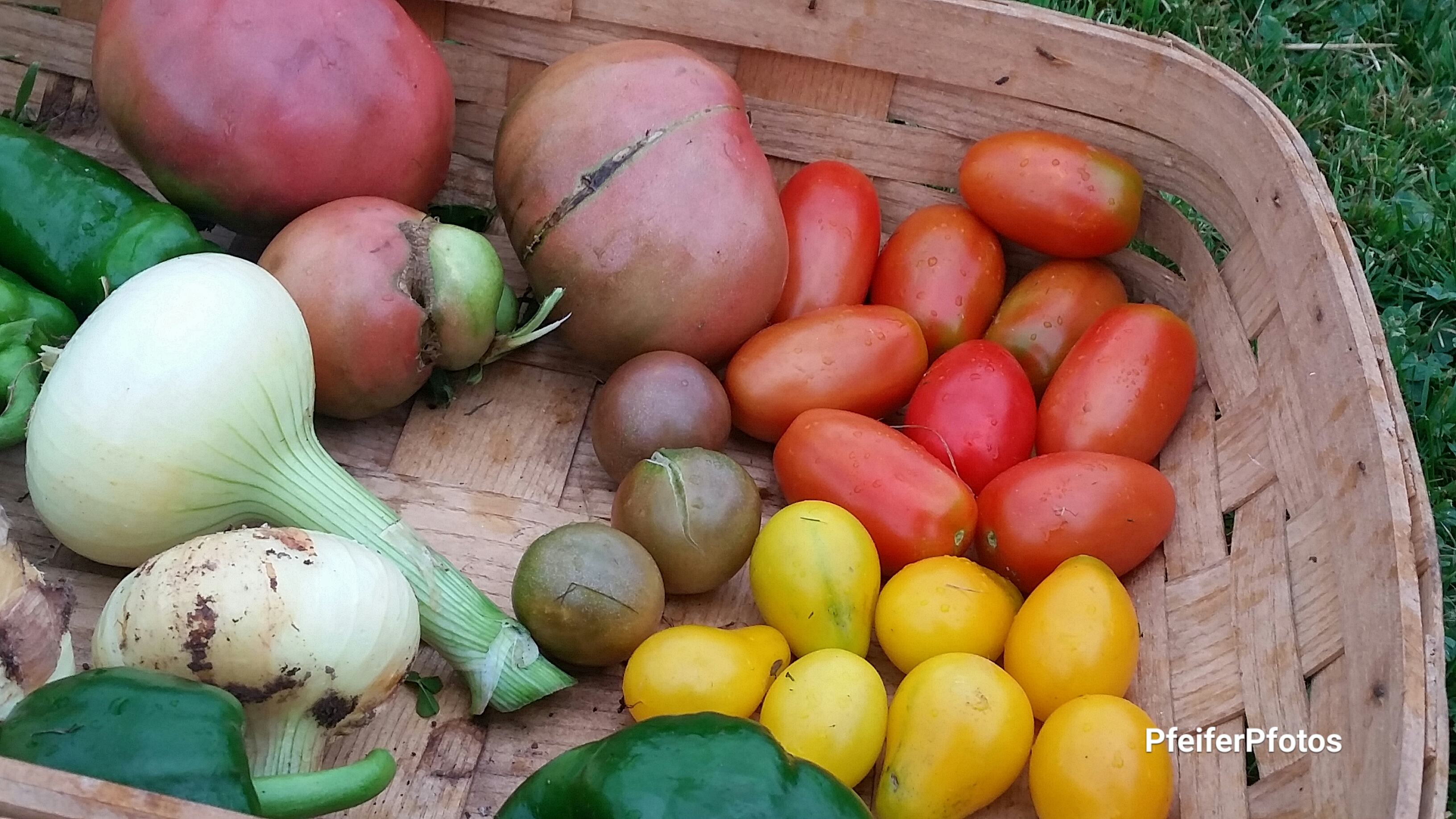 20190815 21.04.53.jpg