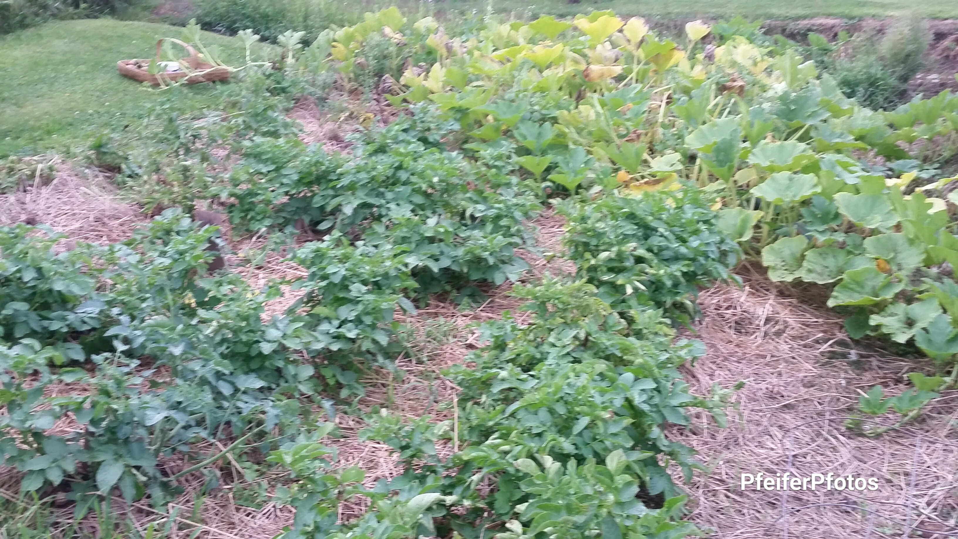 20190815 21.06.25.jpg