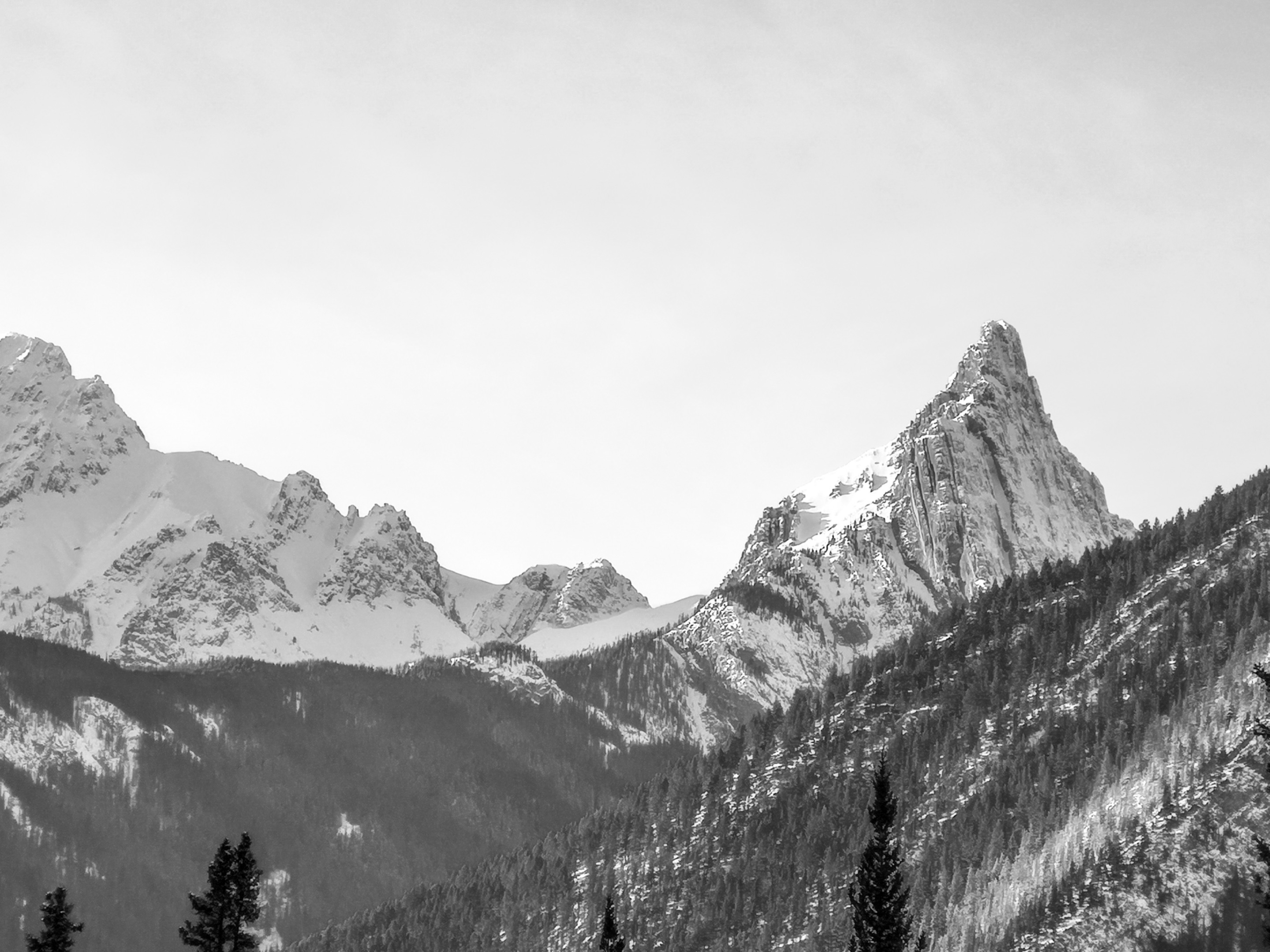 5B88097B13E84AB1AA8CF36631B2B128.jpeg