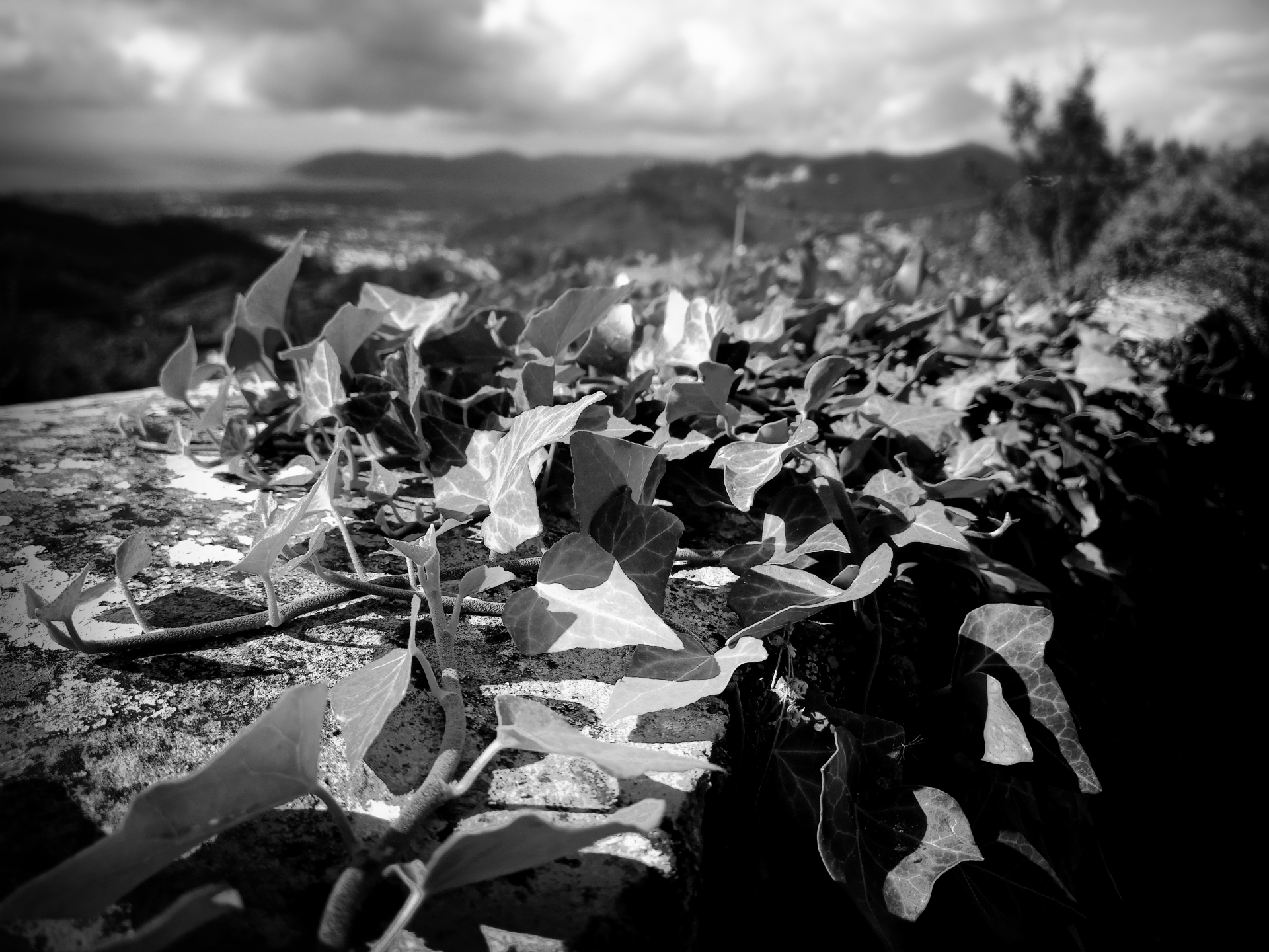 161.bw.jpg