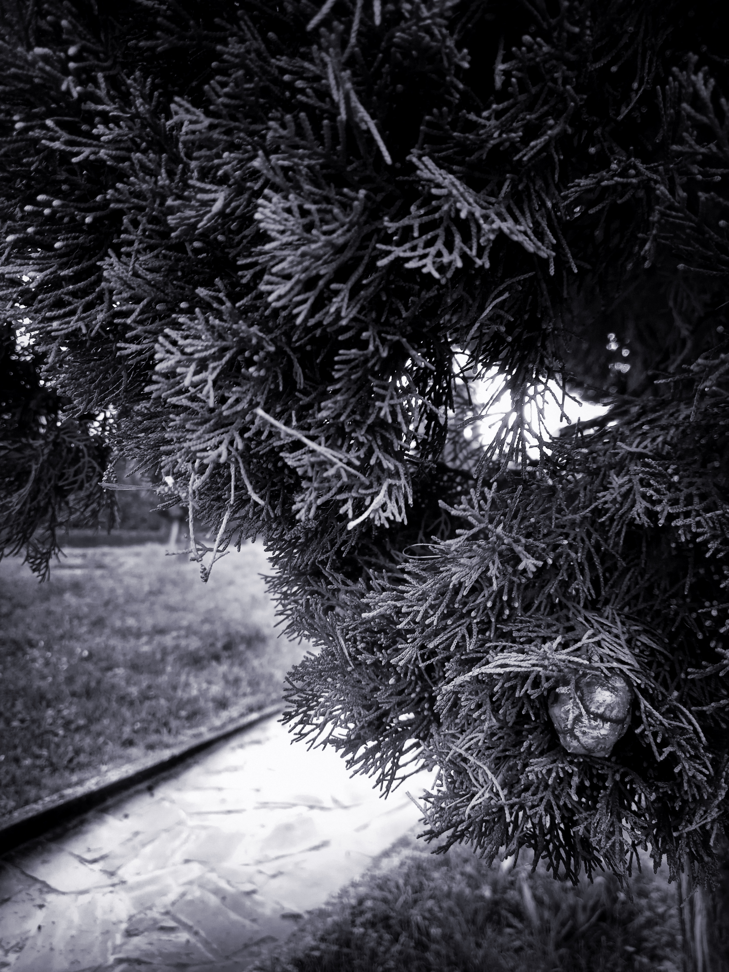 143.bw.jpg